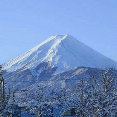 时空中的绘旅人vivo渠道服下载